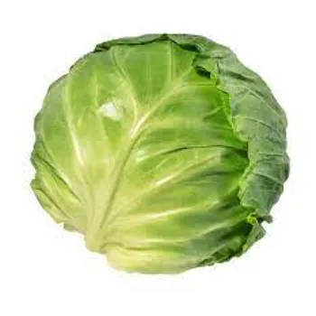 Fresh Cabbage